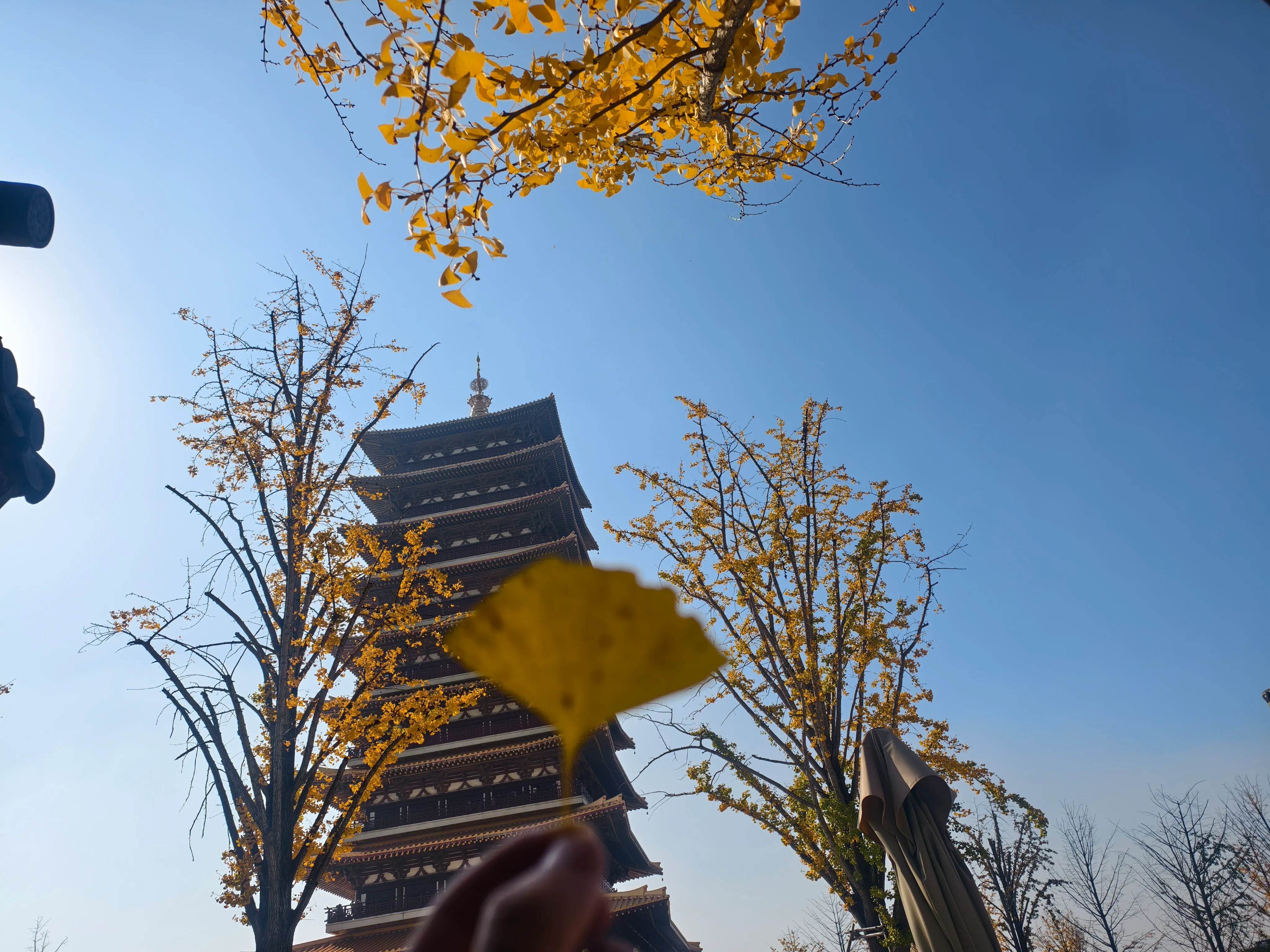 南京秋日景色
