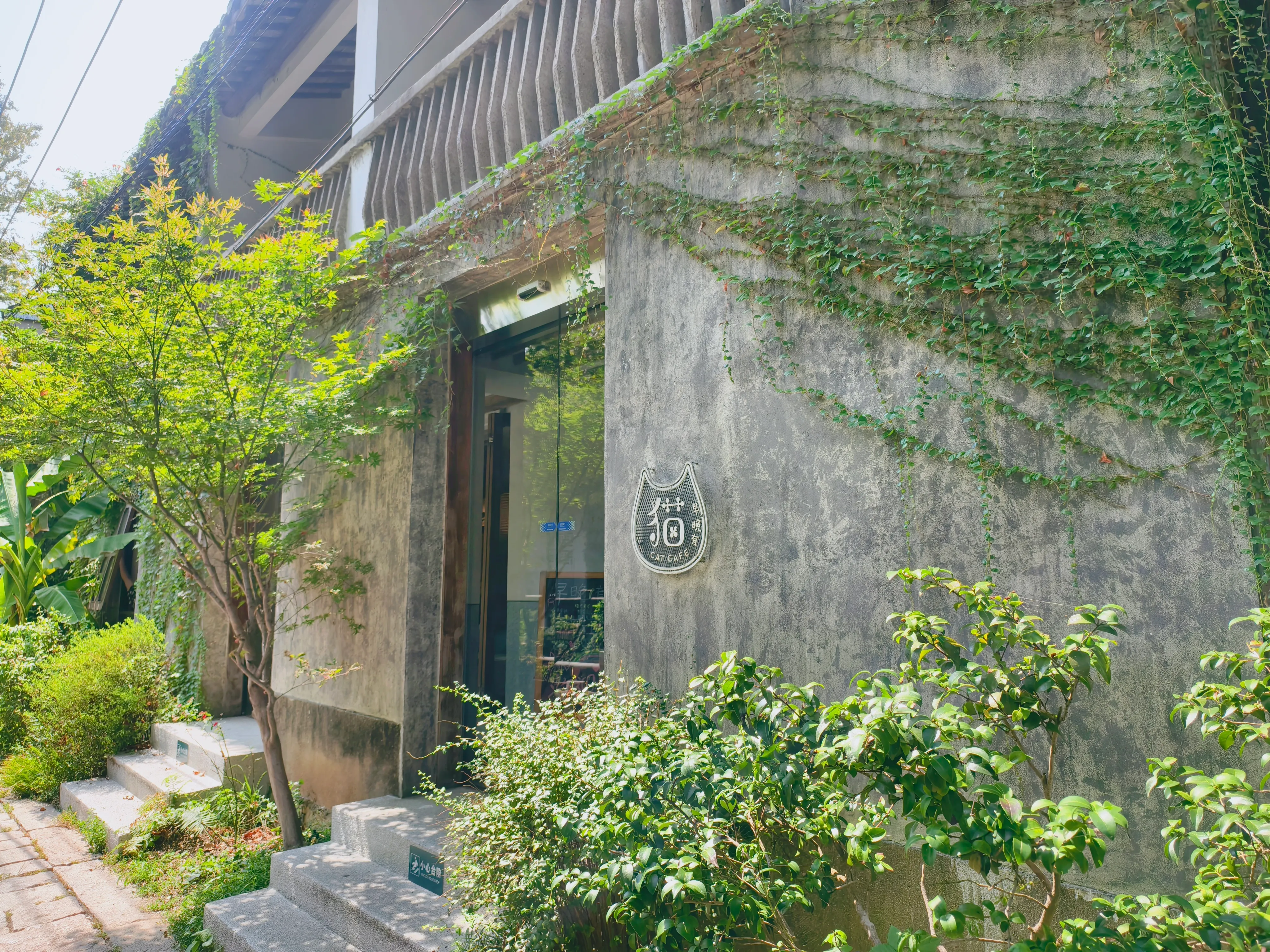 漫山岛上的猫主题咖啡店