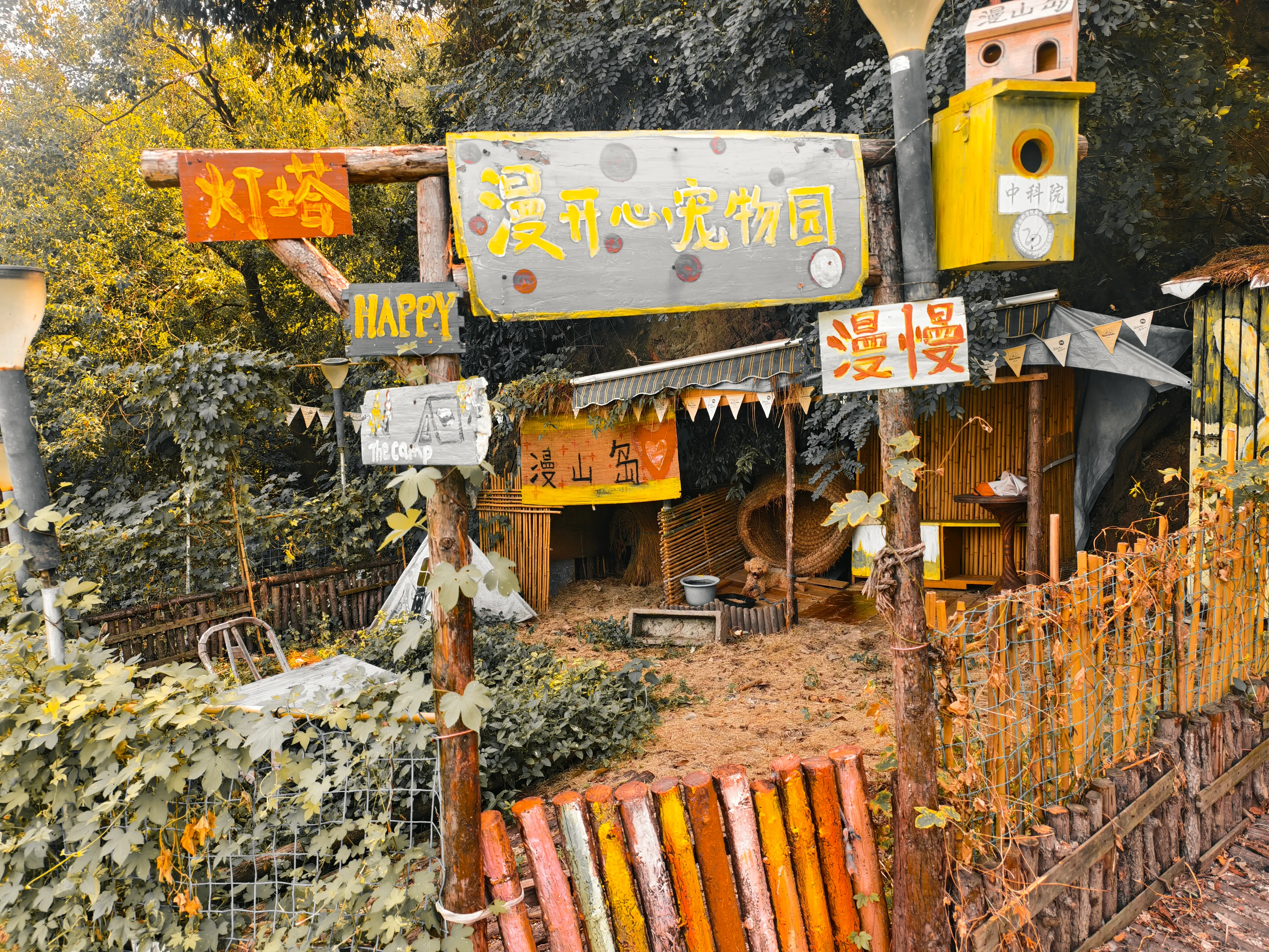 漫山岛上的宠物园
