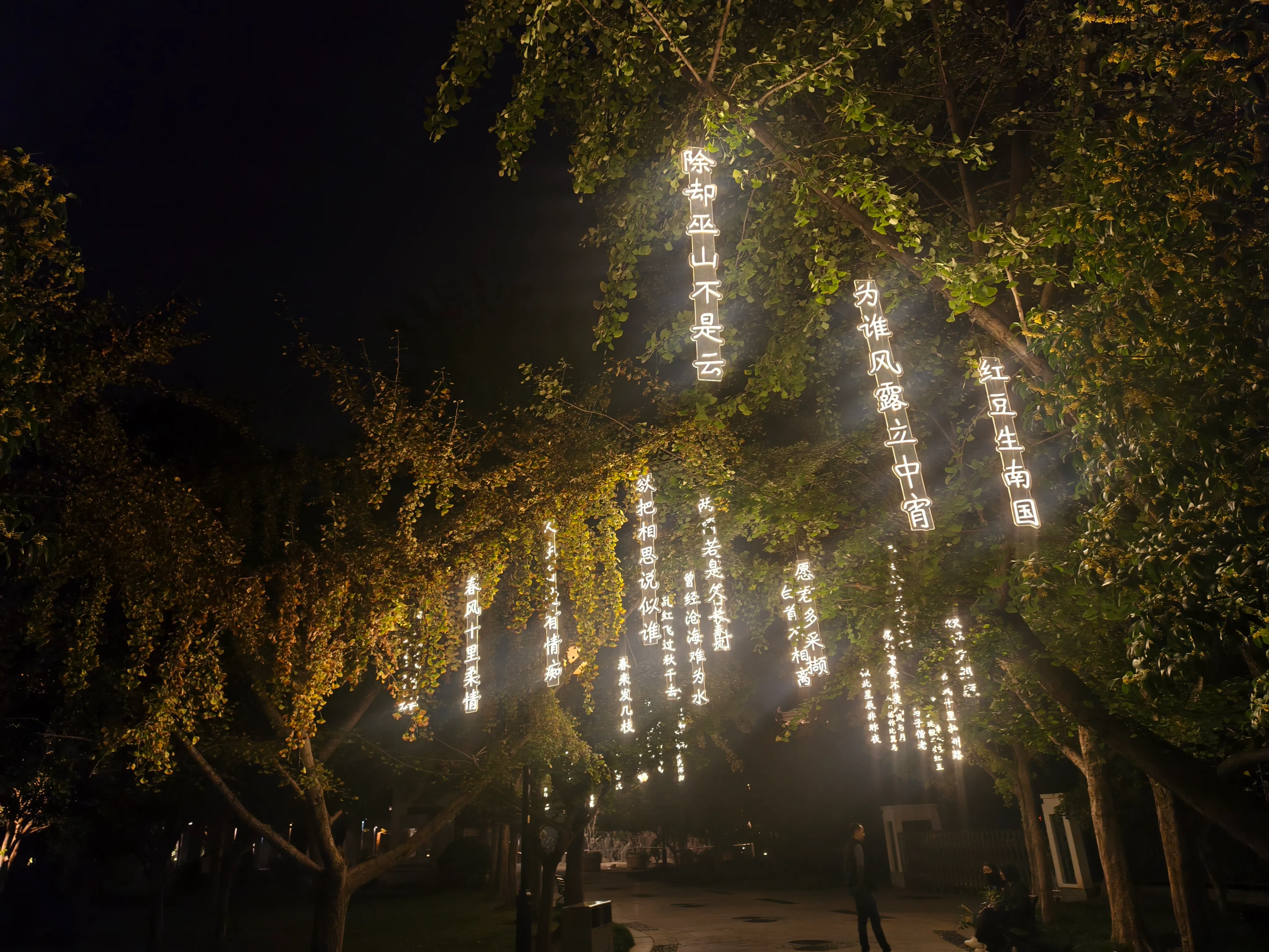 苏州夜骑途中看到的夜色