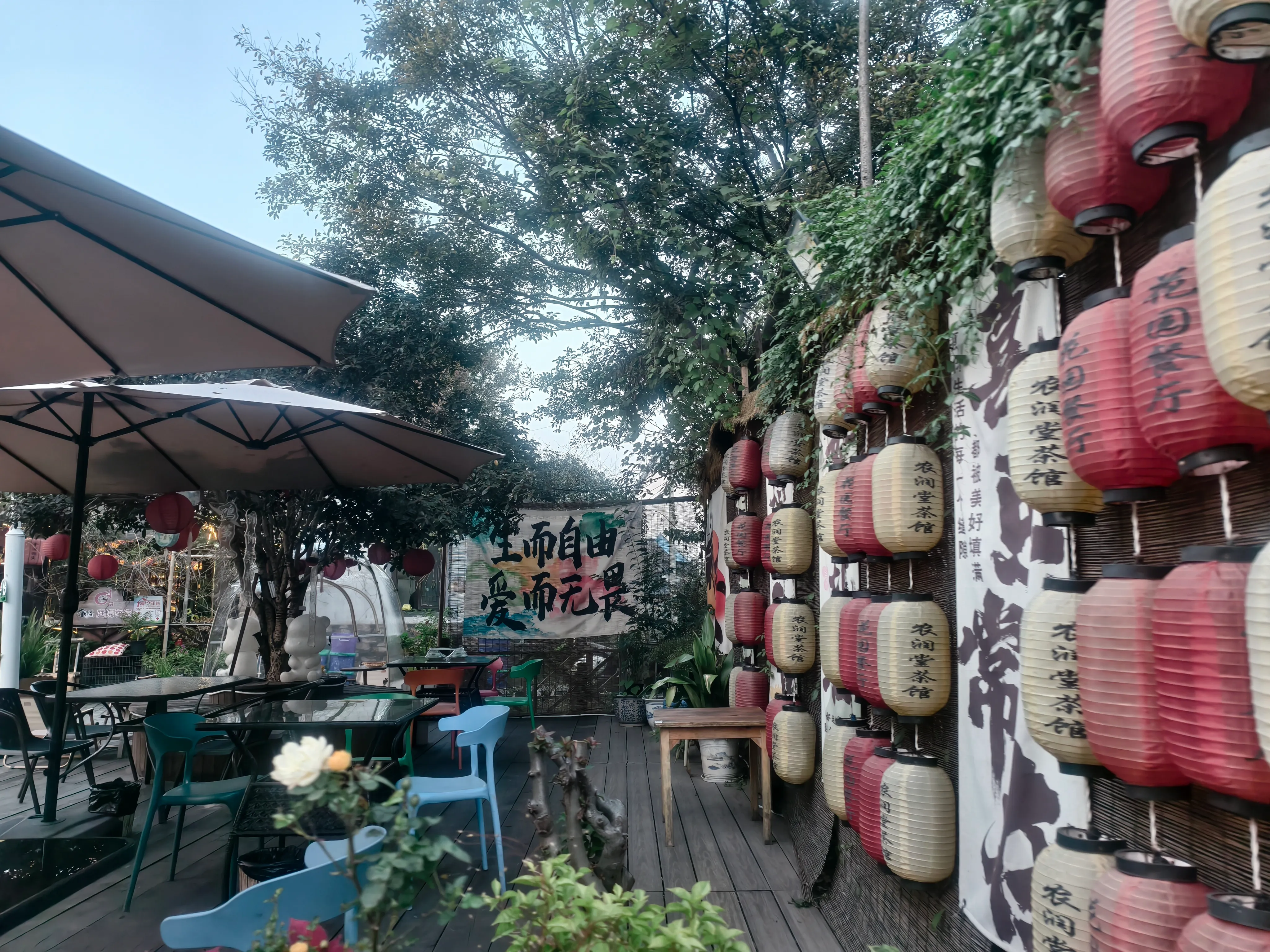 南京佘村的秋日行走