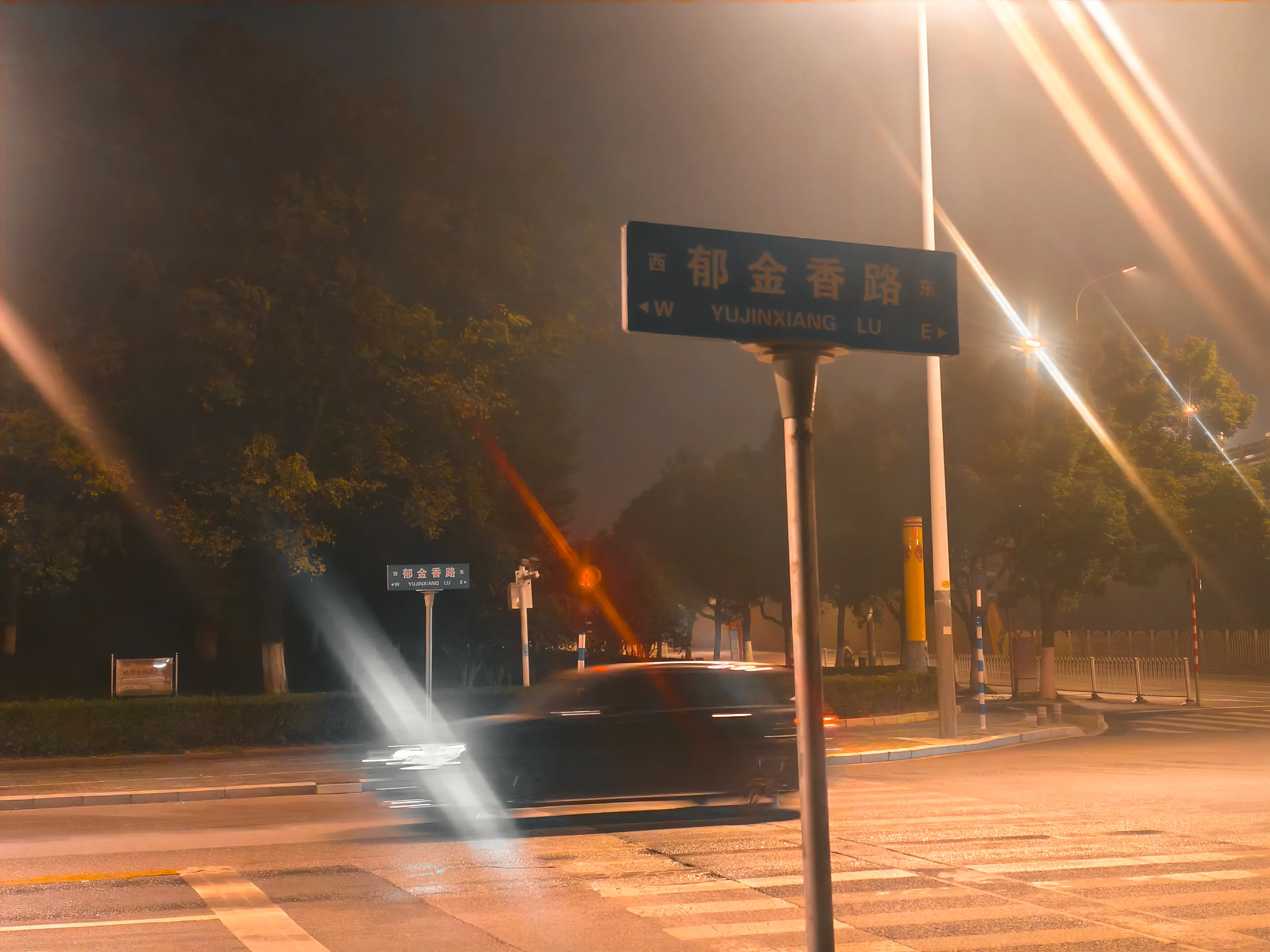 南京的郁金香道路