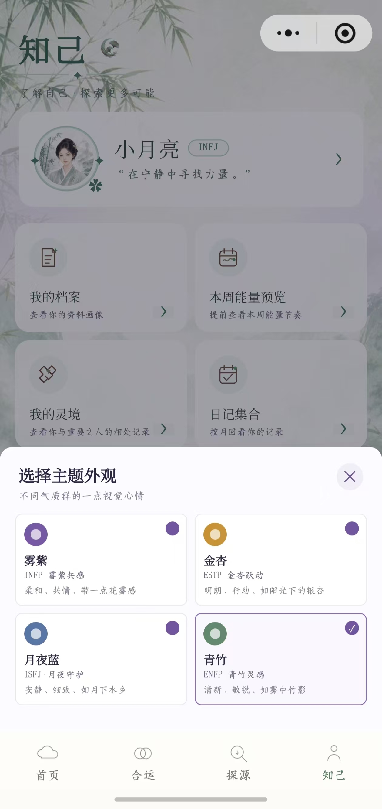 我运知己页展示雾紫、金杏、月夜蓝和青竹四种主题外观